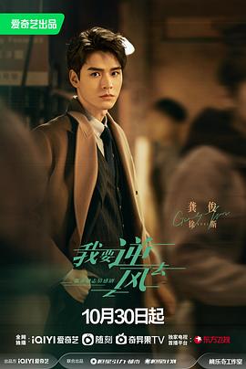 北京seo怎么收费